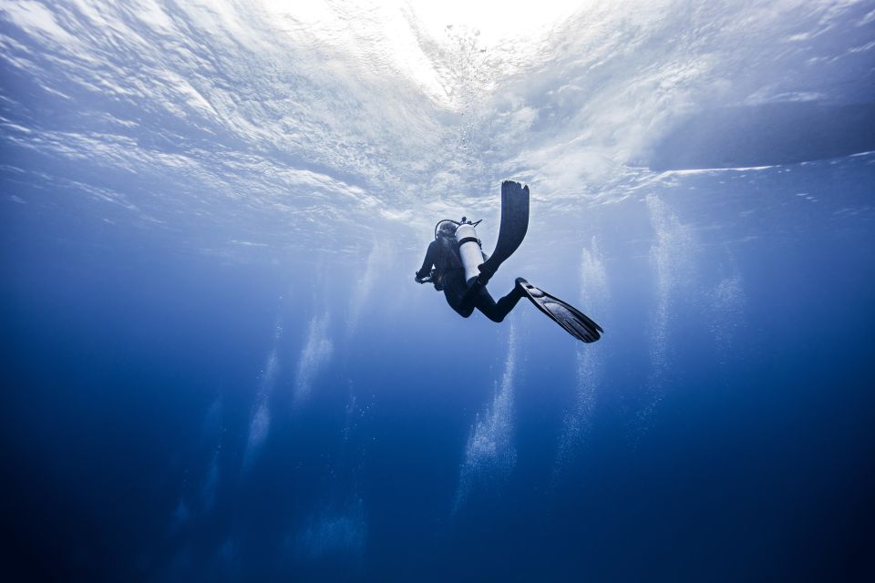Amed: Guided Scuba Dive for Beginners/Non Certified Divers - Activity Details