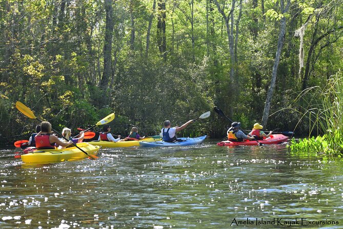 Amelia Island Kayaking Tour (Mar ) - Customer Reviews