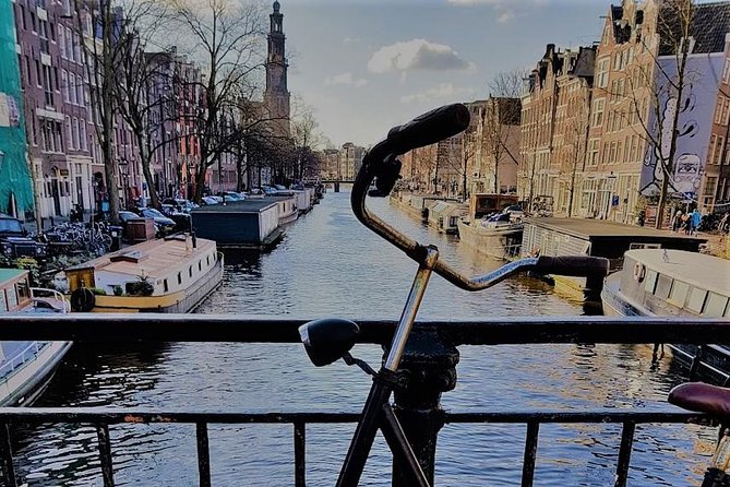 Amsterdam Layover: Airport Transit City Tour - Professional Tour Guides Expertise