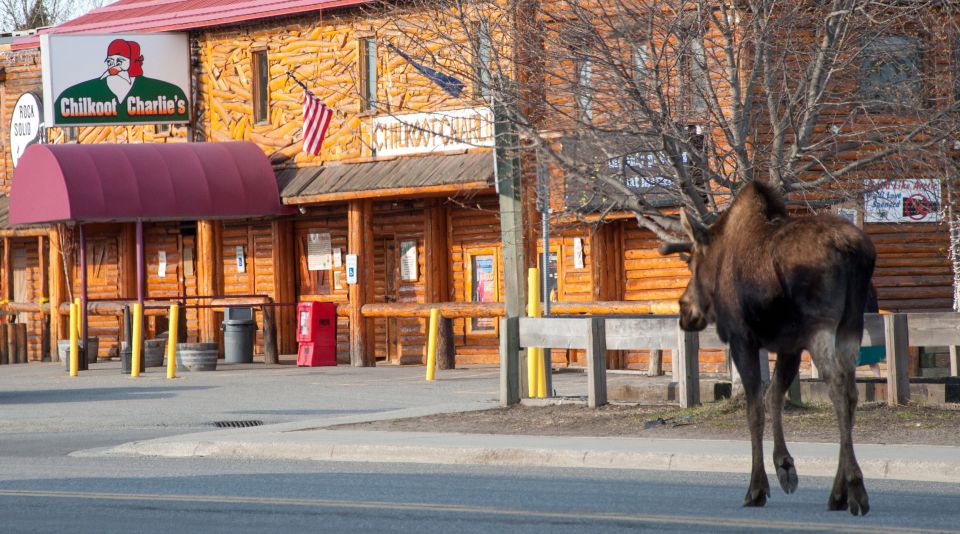 Anchorage: Spenard Area True Crime Walking Tour - Experience Highlights