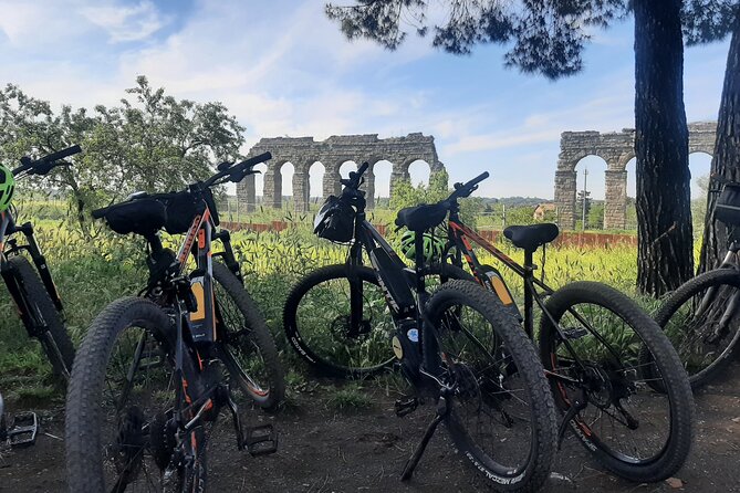 Ancient Appian Way PRIVATE E-Bike Tour - Operational Efficiency and History