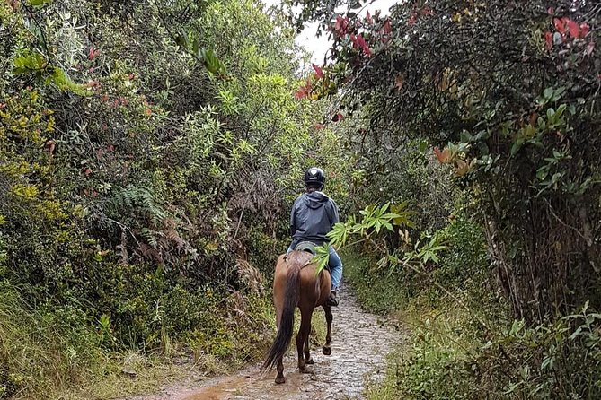 Andes Mountains Horseback Riding - Logistics