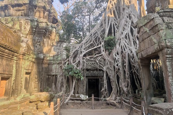 Angkor Discovery 2-Days Tour - Tour Guide Details