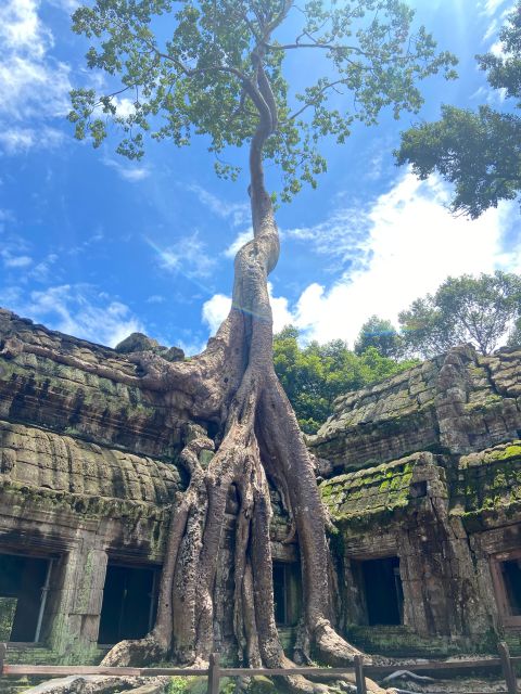 Angkor Exploration Day Tour - Tour Highlights