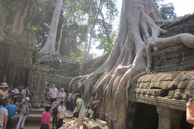 Angkor Wat Bayon Ta Prohm Temple Shared Tour - Attire and Traveler Tips