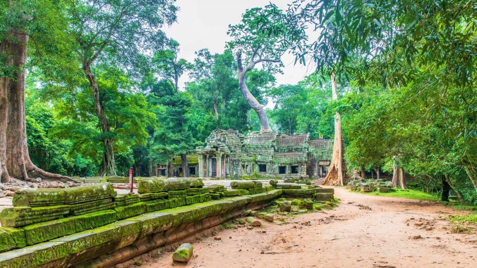 Angkor Wat Sunrise, Ta Promh, Banteay Srei, Bayon Day Tour - Tour Highlights