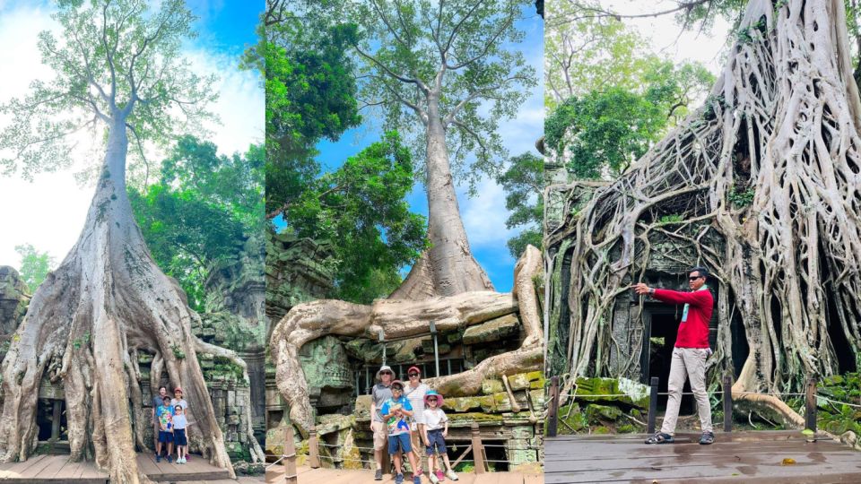 Angkor Wat Tour - Tour Highlights