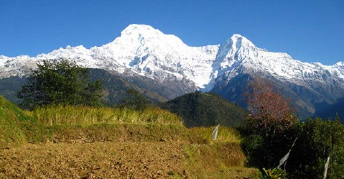 Annapurna - 4 Days Poon Hill Trek From Pokhara. - Trek Itinerary