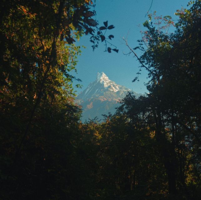 Annapurna Circuit Trekking in Nepal - Pricing and Reservation Details