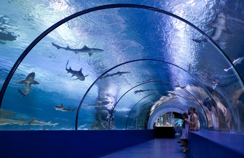 Antalya: Aquarium Entrance Ticket & Optional Transfer - Additional Attractions