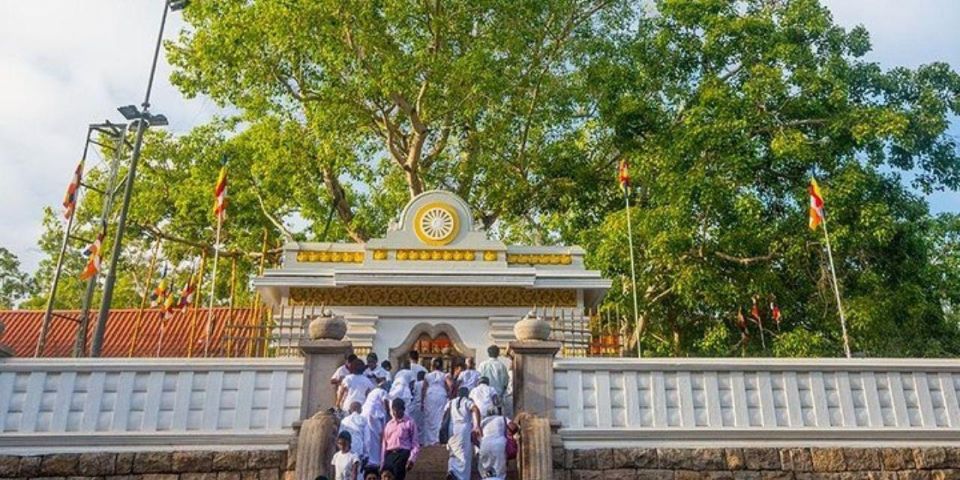Anuradhapura: Sacred Kingdom Exploring Tour by Tuk-Tuk! - Experience Description