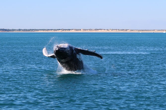 AOC Whale Watching From Broome - Additional Information and Policies