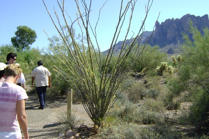 Apache Trail and Dolly Steamboat Van Tour - Positive Experiences and Recommendations