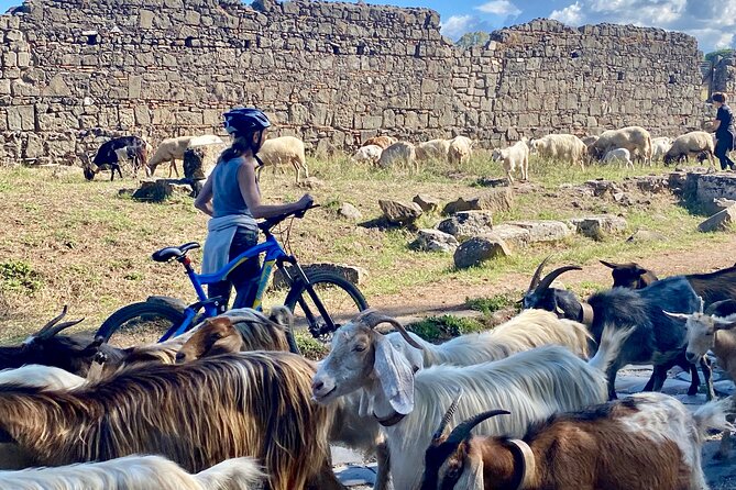 Appian Way on E-Bike: Tour With Catacombs, Aqueducts and Food. - Traveler Testimonials