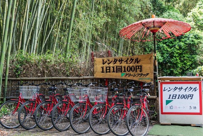 Arashiyama Bamboo Grove Day Trip From Kyoto With a Local: Private & Personalized - Authentic Experiences