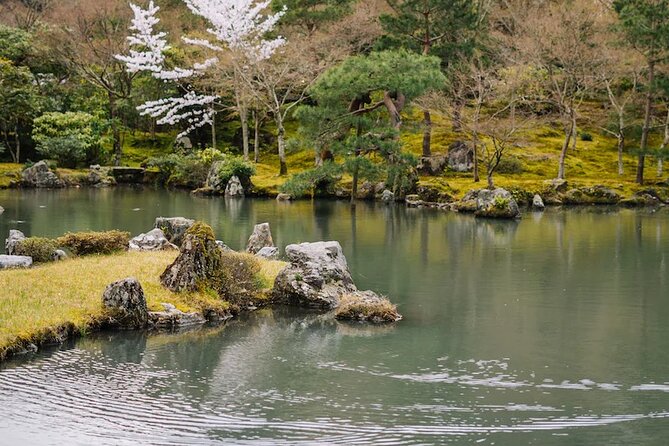 Arashiyama Walking Tour - Bamboo Forest, Monkey Park & Secrets - Guides Performance