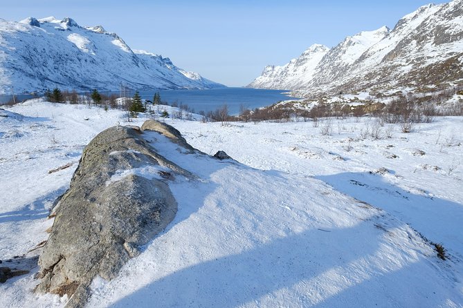 Arctic Fjord and Landscape Tour - Booking, Accessibility, and Weather