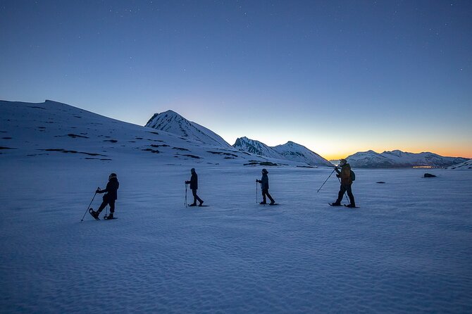 Arctic Landscapes Hiking Tour - Sightseeing & Snowshoeing, Tromsø - Cancellation Policy