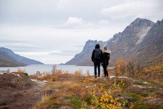 Arctic Roadtrip: Fjords With Scenic Picnic Sightseeing - Capturing Memorable Moments