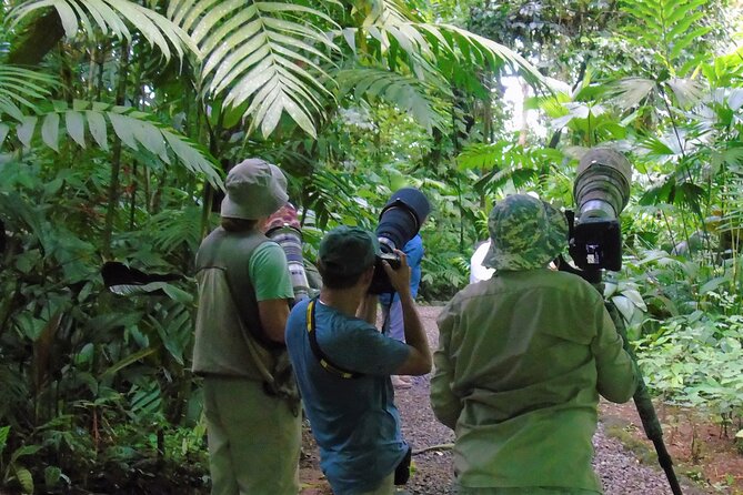 Arenal Butterfly Garden - Rainforest Guided Tour Ecocentro Danaus - Activity Highlights