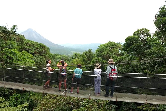 Arenal Hanging Bridges in Mistico Park - Visitor Reviews and Ratings