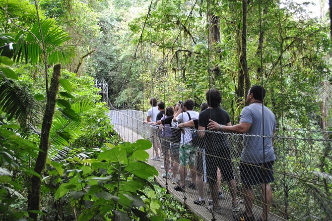 Arenal Highlights: Hanging Bridges, La Fortuna Waterfall, Volcano - Guides Local Wildlife Knowledge