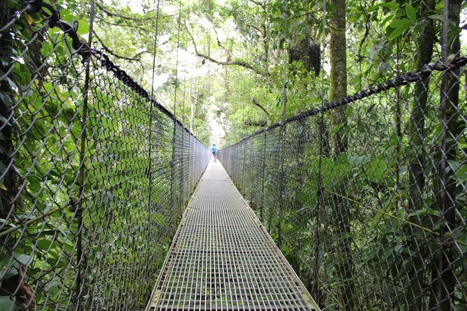 Arenal Volcano and Hot Springs Day Trip From Guanacaste - Additional Information