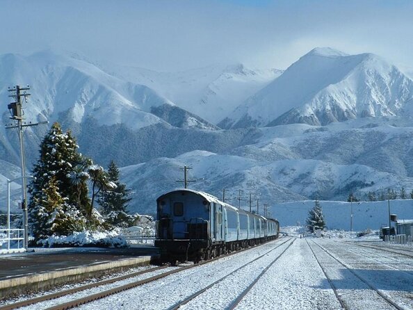 Arthurs Pass and Tranzalpine Train Day Tour From Christchurch - Traveler Experiences