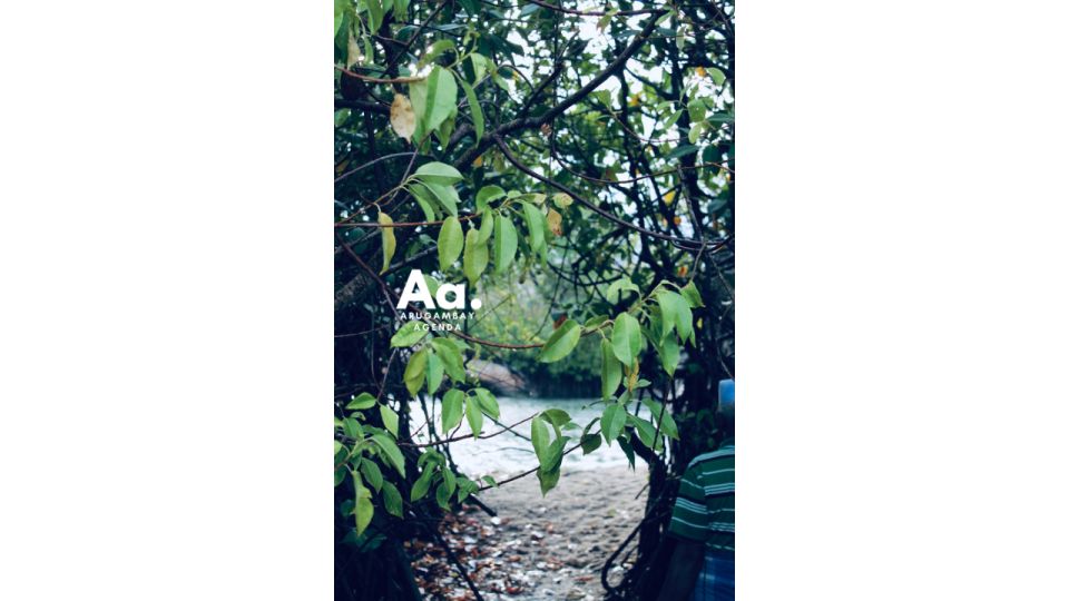 Arugambay: Mangrove Watching in Pottuvil Lagoon - Tour Duration
