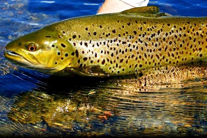 Atlantic Salmon & Sea Trout Fishing.Connemara.English/French Speaking Ghillie - Fishing Time and Location Details