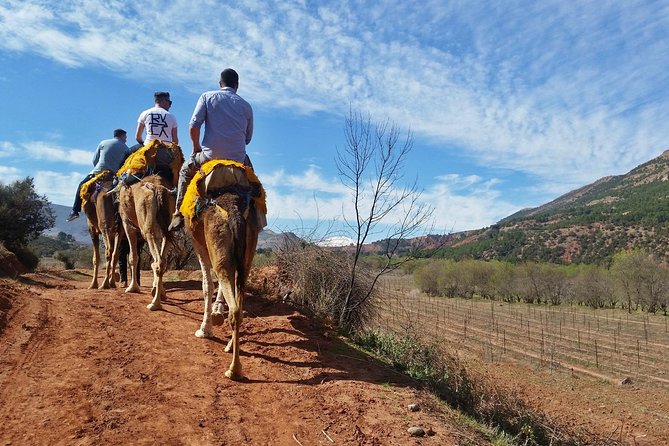Atlas Mountain and Berber Village Horsebacking Day Trip  - Marrakech - Experience Highlights