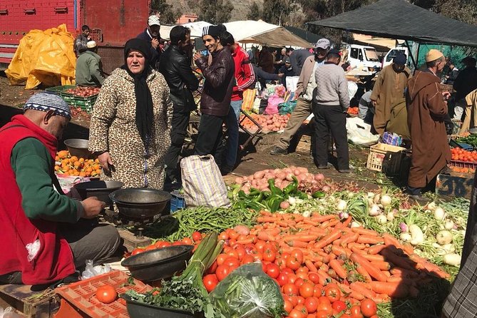 Atlas Mountains and Berber Villages Day Trip From Marrakech With Lunch - Scenic Atlas Mountains Drive