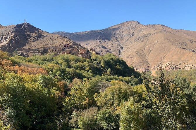 Atlas Mountains and Camel Ride Day Trip, From Marrakech - Local Cuisine Tasting