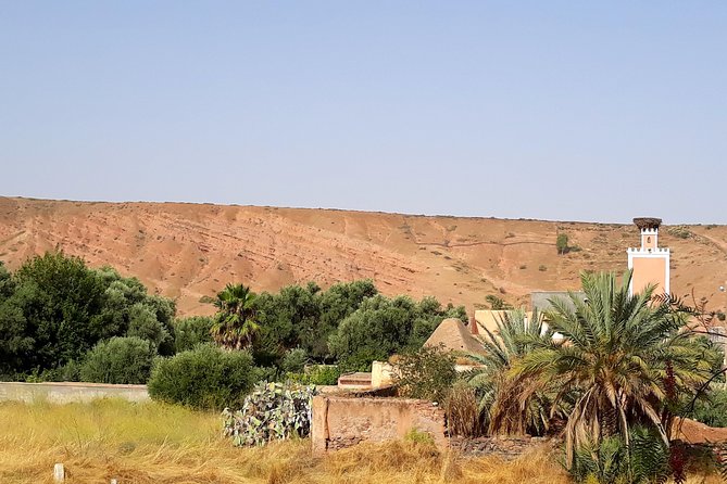 Atlas Mountains &Berber Family & Berber Village Experience - Authentic Encounters