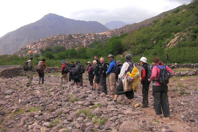 Atlas Mountains Day Tour With Camel Ride - Traveler Reviews and Ratings