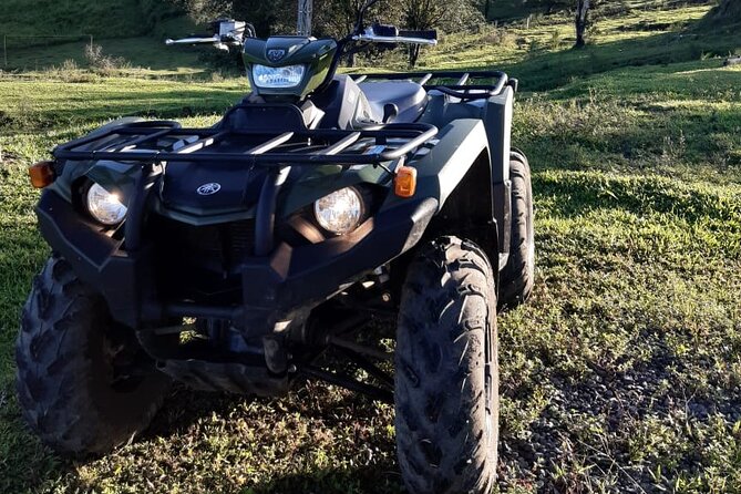 ATV Guided Experience in La Fortuna, Arenal Volcano. - Reviews and Recommendations