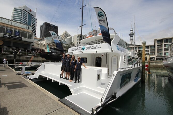 Auckland Dolphin and Whale Watching Eco-Safari Cruise - Additional Information