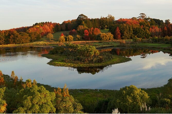 Auckland Nature Tour - Insider Tips for the Tour