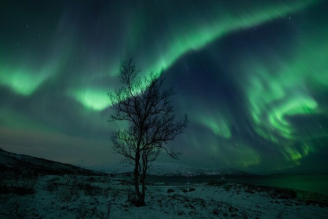 Auroras Hunt - Tour in Spanish, Northern Lights Chase in Spanish - Traveler Reviews