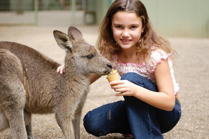 Australia Multi-City Attractions Pass - Reviews and Cancellation Policy