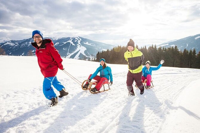 Austria Alps Skiing Private One Day Trip Vienna to Semmering - Reviews