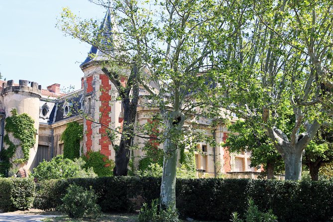 Avignons History, Local Culture & the Wines of Châteauneuf Du Pape Private Tour - Wine Tastings at Châteauneuf Du Pape Vineyards