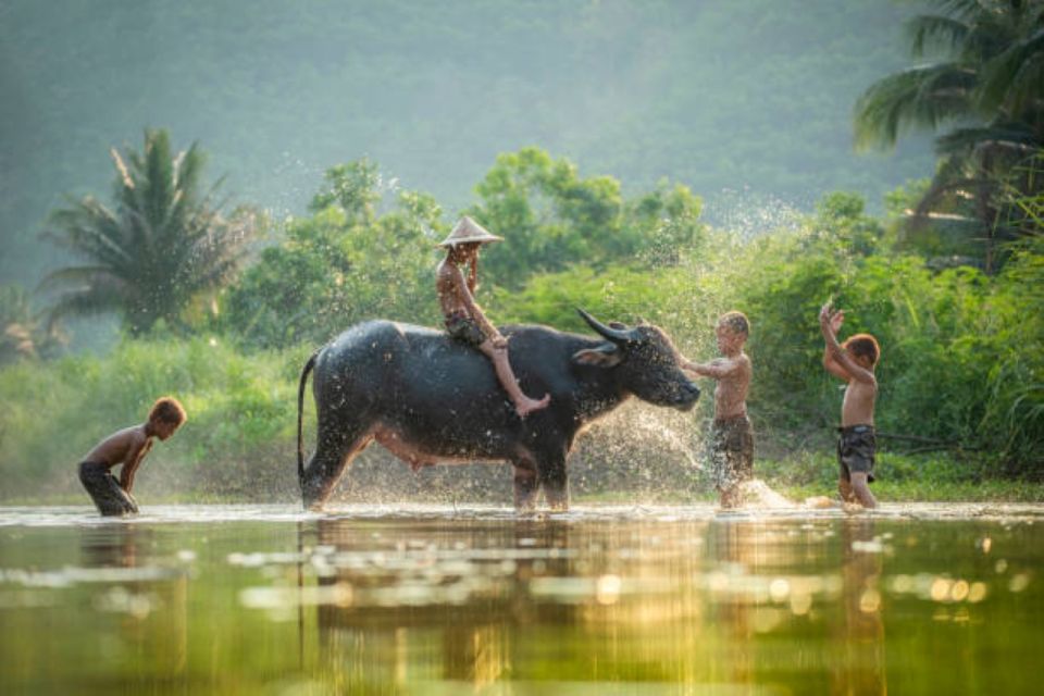 Back to Basics: Village Life Tour From Siem Reap - Educational Insights