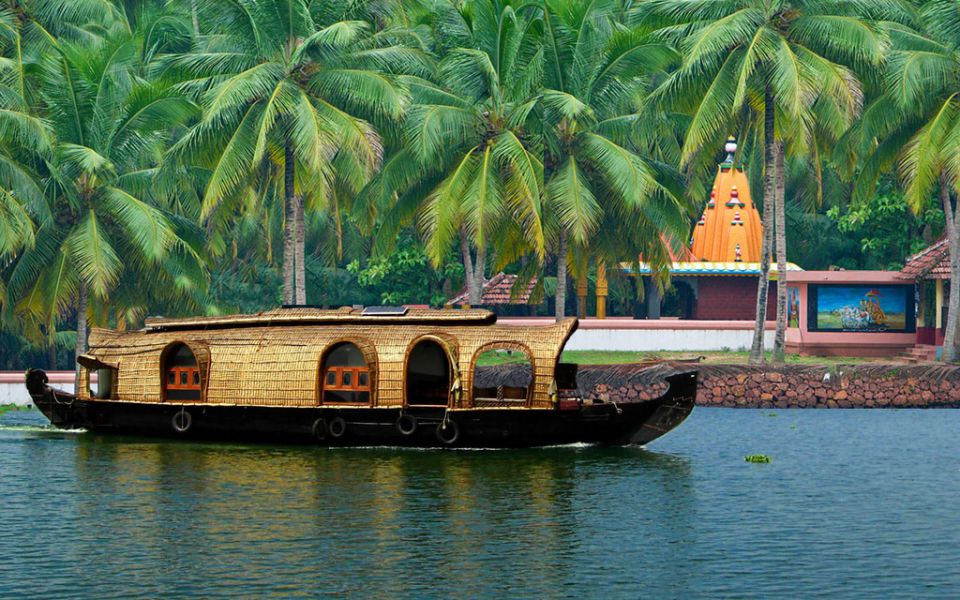 Backwater Houseboat and Fort Kochi Tour From Cochin Port - Highlights of the Experience