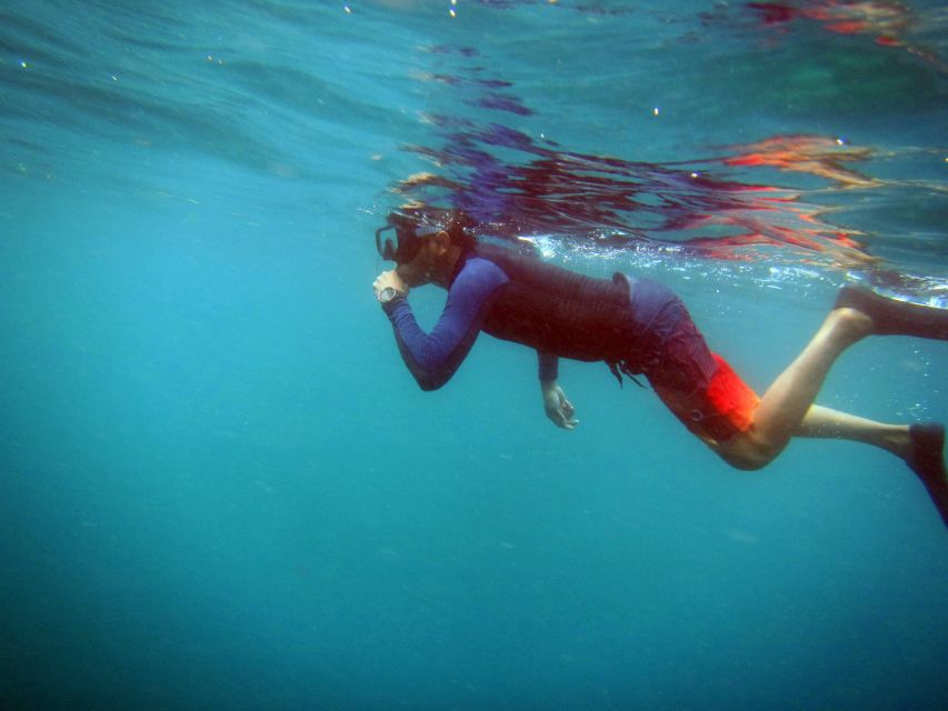 Bali: 1 Hour Snorkeling at Nusa Dua Beach - Skip-the-Line Convenience