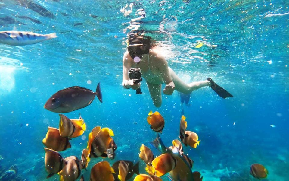 Bali Activities: Snorkeling at Blue Lagoon and Tanjung Jepun - Customer Feedback