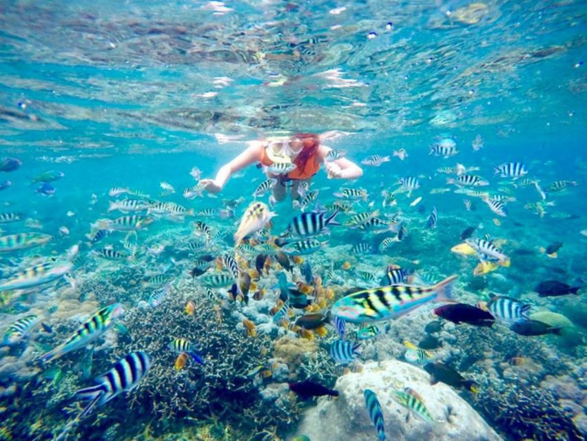 Bali Blue Lagoon Snorkeling With Lunch and Private Transfer - Pickup Locations