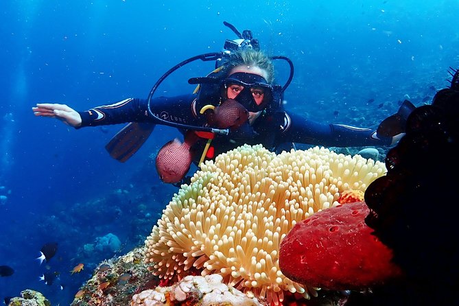 Bali Diving for Beginners: Tulamben Liberty Wreck - Participant Requirements