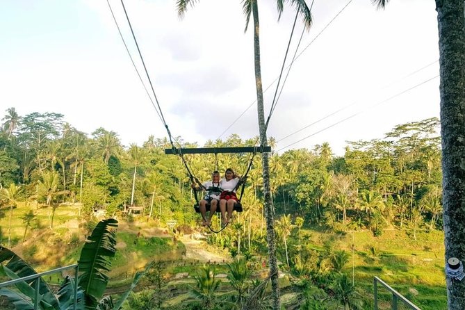 Bali Instagram Tour: The Most Scenic Spots - Breathtaking Rice Terraces