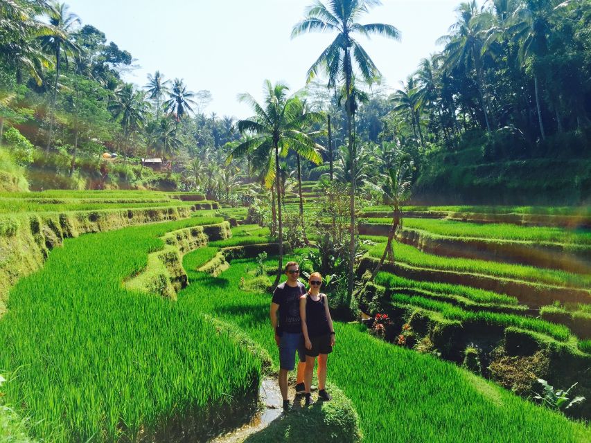 Bali: Leke-Leke Waterfall, Monkey Forest & Jungle Swing Tour - Review Summary